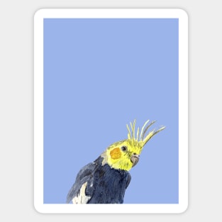 Cockatiel Watercolor Illustration with a violet background Sticker